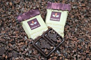 Bienfaits du Chocolat Cru meilleurdubio  Vente en ligne Bio