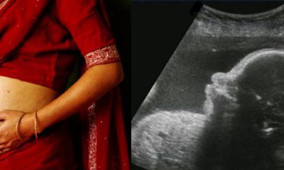 Femme enceinte et impact des pesticides sur le fœtus