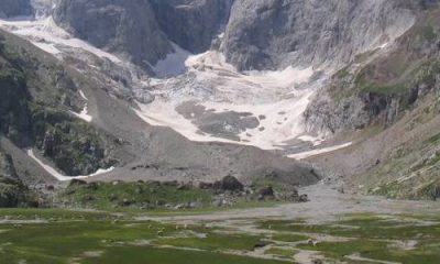 Troupeau de moutons et loup dans la montagne