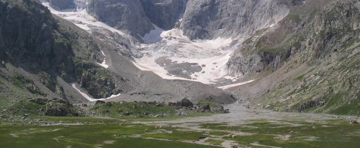 Troupeau de moutons et loup dans la montagne