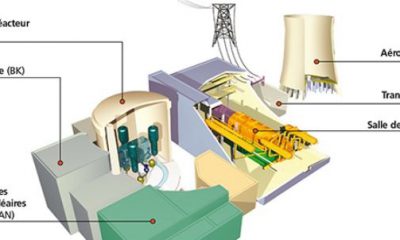 Schéma de la centrale nucléaire du Bugey, source ASN