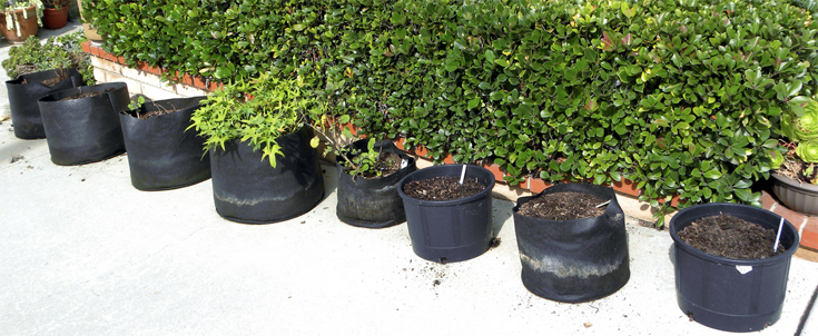 smart pots