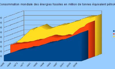 consommation-mondiale-charbon-gaz-petrole