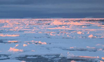 La disparition de la banquise pourrait coûter 60 000 milliards de dollars