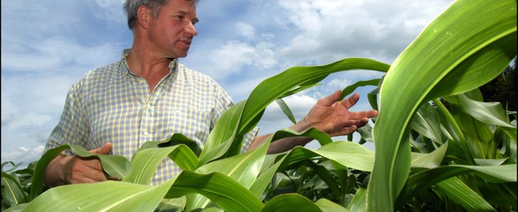 Monsanto retire ses demandes d'autorisations de culture d'OGM