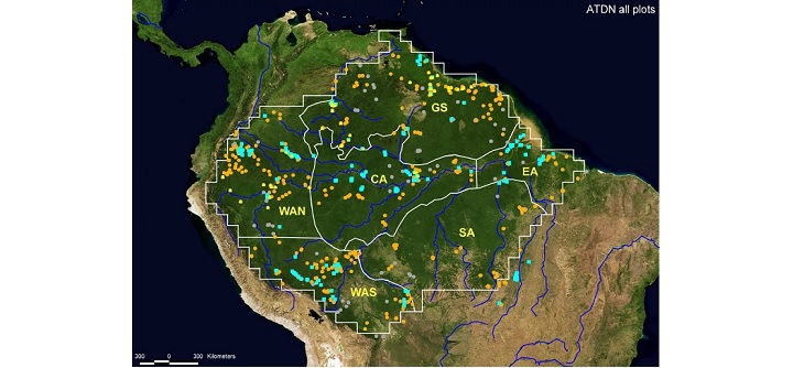 Forêt amazonienne