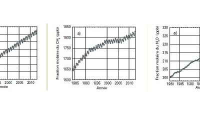 Concentration de CO2-CH4-N2O