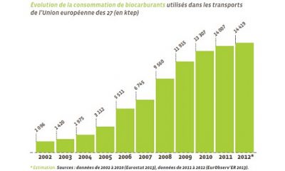 Agrocarburant consommation UE