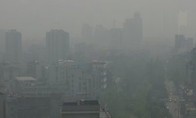 circulation alternée contre les pics de pollution