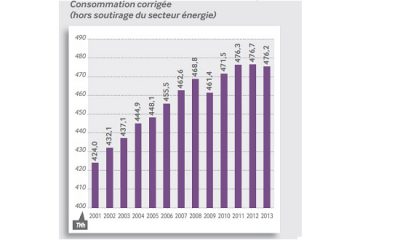 Consommation électrique RTE 2013