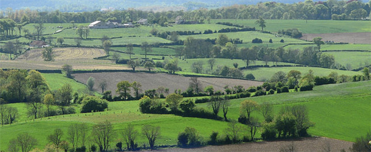 bocage normand