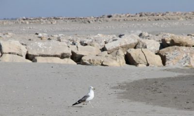 erosion de la côte