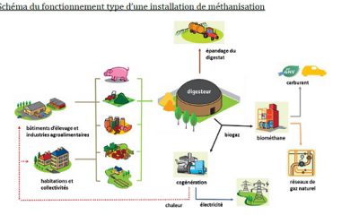 Méthanisation