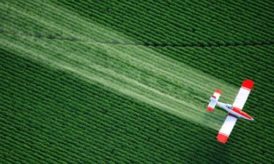 Pesticides et autisme