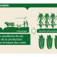 L'agriculture de conservation pour lutter contre la faim