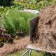 paillage jardin et potager