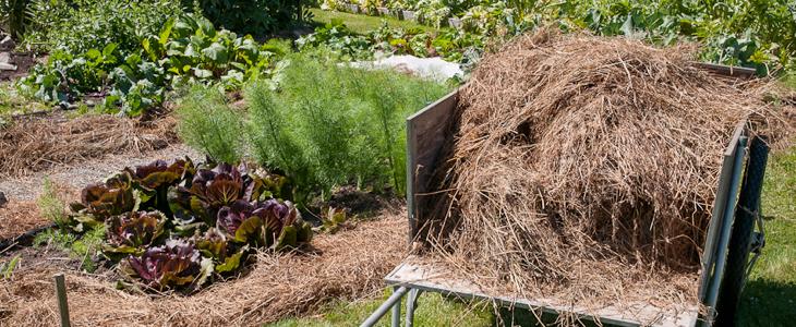 paillage jardin et potager