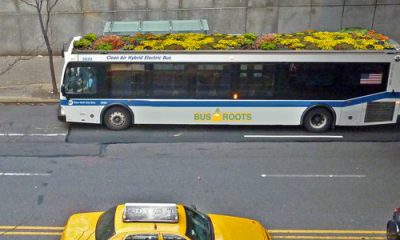 bus à toit végétalisé à New-York
