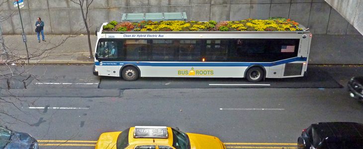 bus à toit végétalisé à New-York