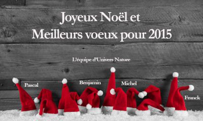 joyeux noël 2015