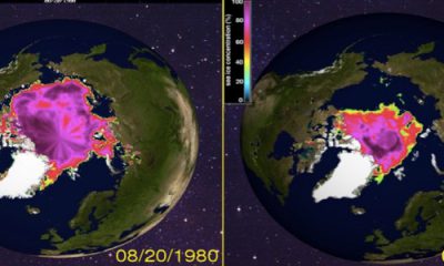 les glaces fondent, les océans montent