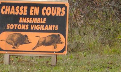 interdiction de promenade pour cause de chasse