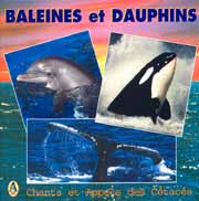 sons et chants de baleines et dauphins