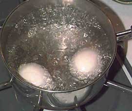 conseil de cuisson des œufs pour éliminer les risques de grippe aviaire