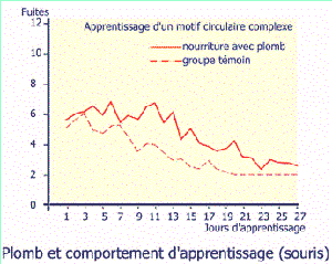 effets du plomb sur homme